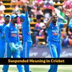Suspended Meaning in Cricket